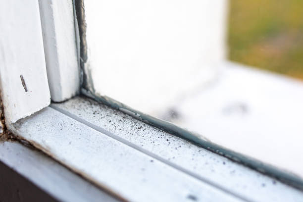 Best HVAC Mold Inspection and Cleaning  in Landing, NJ
